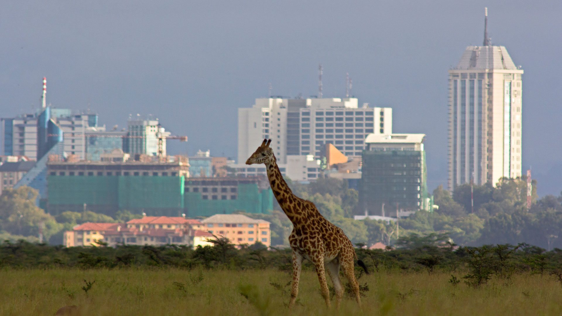 Why African-Americans Are Moving to Kenya