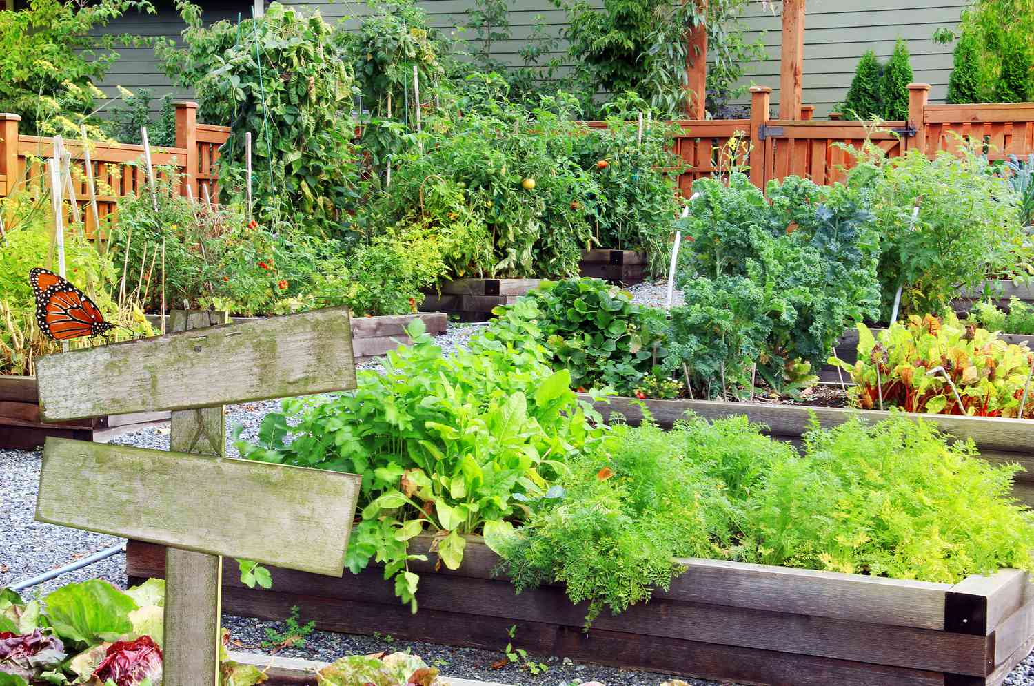 Grow a Garden Cooking Recipes